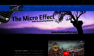 Themicroeffect.com thumbnail