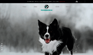 Themoderndognj.com thumbnail