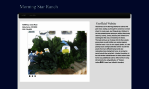 Themorningstarranch.org thumbnail