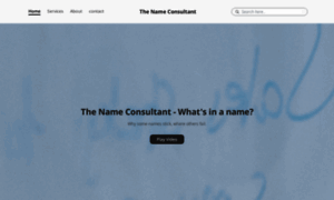 Thenameconsultant.com thumbnail