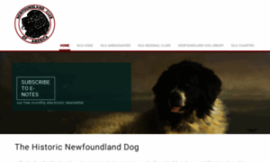 Thenewfoundland.org thumbnail