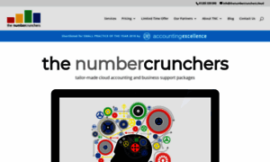 Thenumbercrunchers.cloud thumbnail