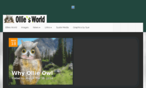 Theollieowl.com thumbnail