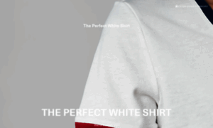 Theperfectwhiteshirt.ph thumbnail