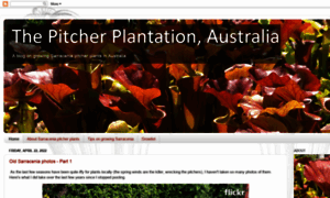 Thepitcherplantationaustralia.blogspot.com thumbnail