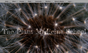 Theplantmedicineschool.com thumbnail