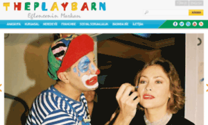 Theplaybarn.com.tr thumbnail