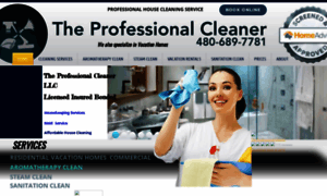 Theprofessionalcleaner.org thumbnail