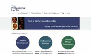 Theprofessionalmentor.com thumbnail