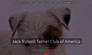 Therealjackrussell.com thumbnail
