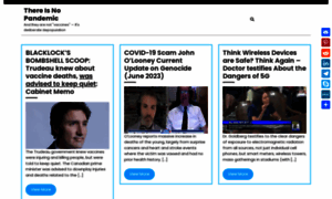 Thereisnopandemic.net thumbnail