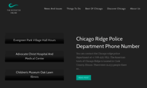 Thereporteronline.net thumbnail