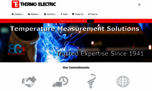 Thermo-electric.com thumbnail