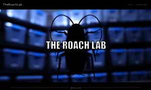 Theroachlab.com thumbnail