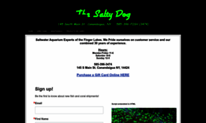 Thesaltydogshop.com thumbnail