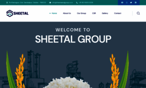 Thesheetalgroup.co.in thumbnail