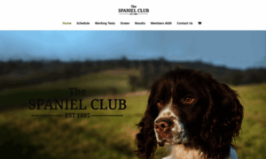 Thespanielclub.co.uk thumbnail