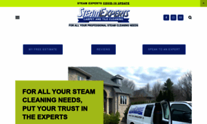 Thesteamexperts.ca thumbnail