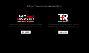 Theteamrecovery.org thumbnail