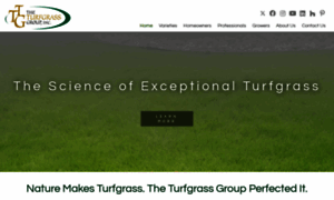 Theturfgrassgroup.com thumbnail
