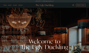 Theugly-duckling.co.uk thumbnail