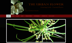 Theurbanflower.com thumbnail