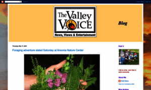 Thevalley-voicect.blogspot.com thumbnail