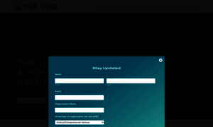 Thevine.io thumbnail