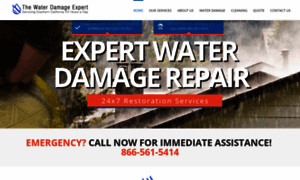 Thewaterdamageexpert.com thumbnail