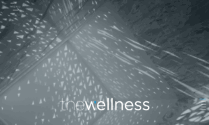Thewellness.ae thumbnail