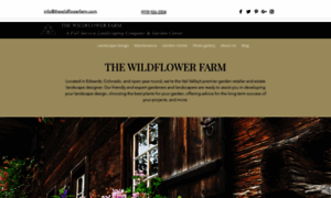 Thewildflowerfarm.com thumbnail