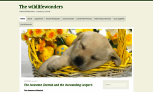 Thewildlifewonders.wordpress.com thumbnail