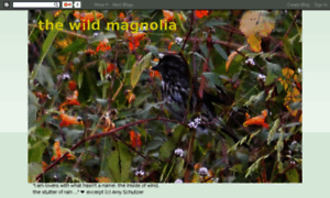 Thewildmagnolia-southmoonunder.blogspot.com thumbnail