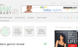 Thewisebaby.com thumbnail