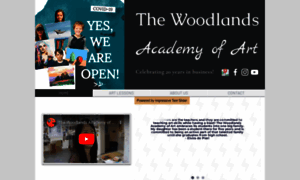 Thewoodlandsacademyofart.com thumbnail