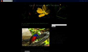 Thewoodlandsforest.blogspot.com thumbnail