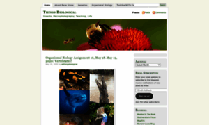 Thingsbiological.wordpress.com thumbnail