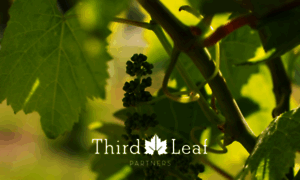 Thirdleafpartners.com thumbnail
