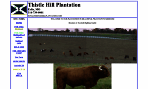 Thistlehillplantation.com thumbnail