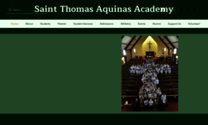 Thomas-aquinas.org thumbnail