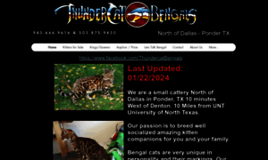 Thundercatbengals.com thumbnail