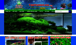 Thuysinh24h.com thumbnail