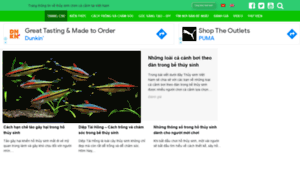 Thuysinhvn.org thumbnail