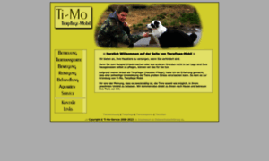 Ti-mo-service.de thumbnail