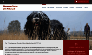 Tibetaanseterrierclub.nl thumbnail