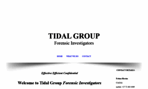 Tidalgroup.co.za thumbnail