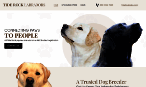 Tiderocklabradors.net thumbnail