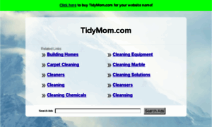 Tidymom.com thumbnail