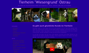 Tierheim-ostrau.de thumbnail