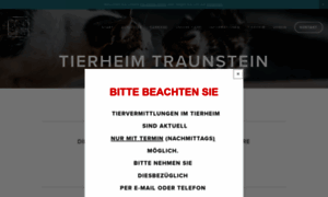 Tierheim-traunstein.de thumbnail